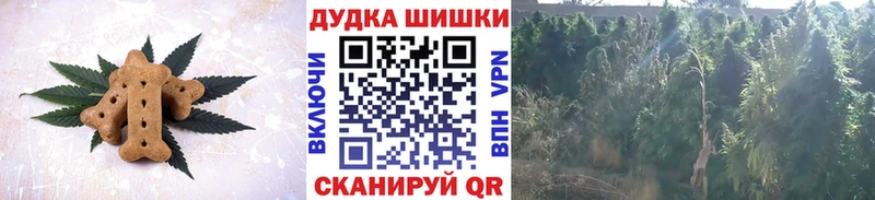 Canna-Cookies конопля  MEGA ссылка  Буй  магазин   