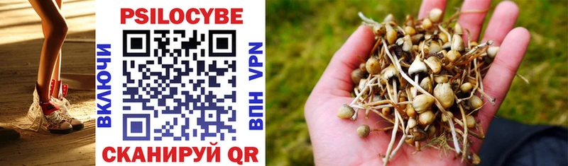 купить наркотики сайты  Буй  Галлюциногенные грибы MAGIC MUSHROOMS 